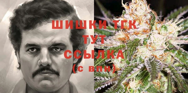 ешки Алексин