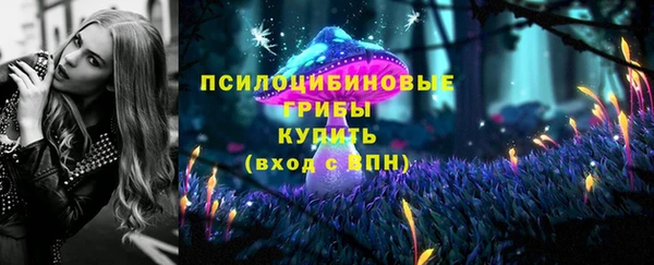 ешки Алексин