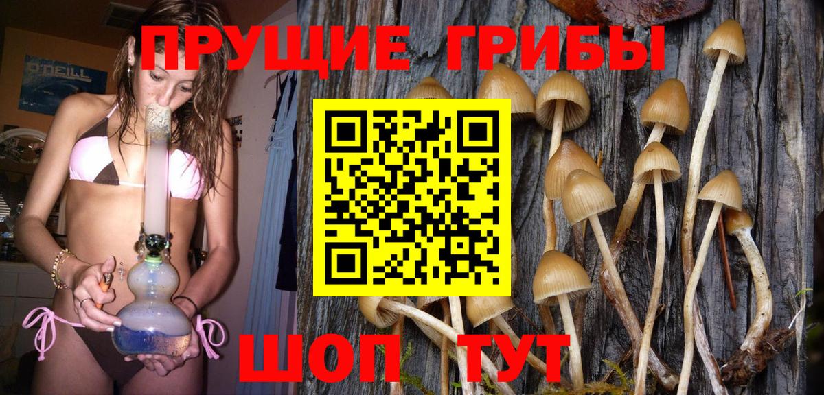 Краснокамск  Галлюциногенные грибы GOLDEN TEACHER  цена   Вход с VPN  Галлюциногенные грибы мухоморы 